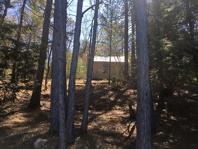 Thumbnail image showing forest and cabin